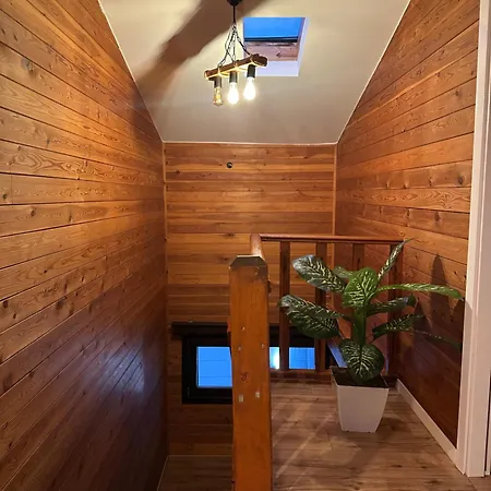 Isea Wood * Rrushkull (Durres)