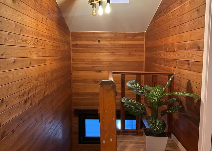 Isea Wood * Rrushkull (Durres)